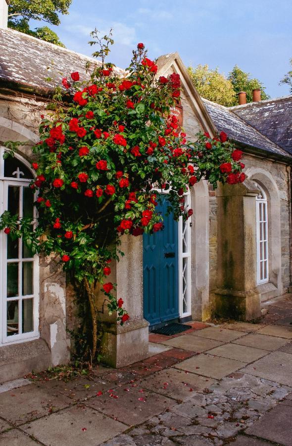 The Alms House Strangford Villa Exterior foto